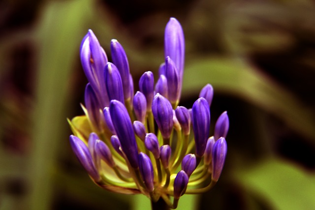 一些不足 一些不足