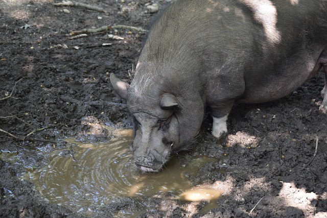天赋与潜力 天赋与潜力